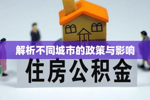 措勤解析不同城市的政策与影响